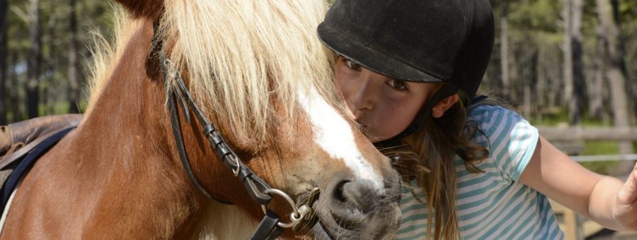 3 poney