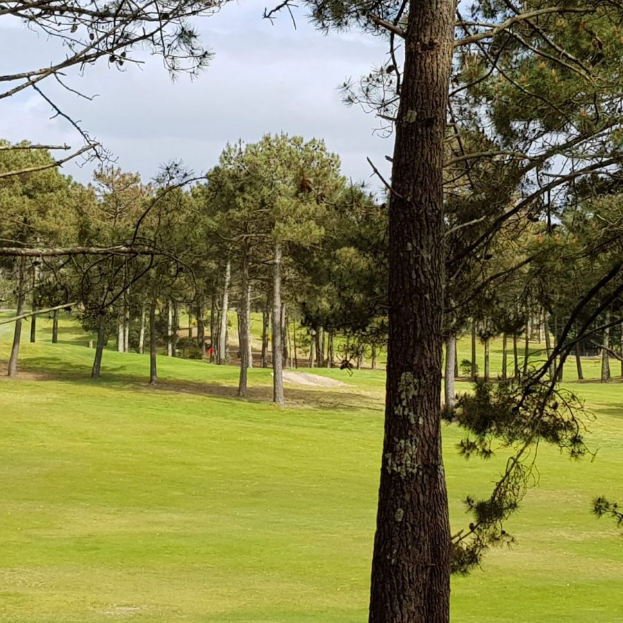 Golf naturiste Camping La Jenny