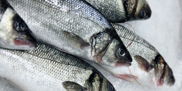 Sea fish at the market, on ice