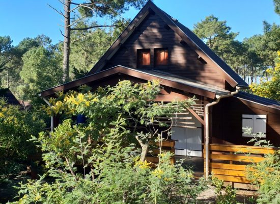 Chalet naturiste, Gironde, Nouvelle Aquitaine