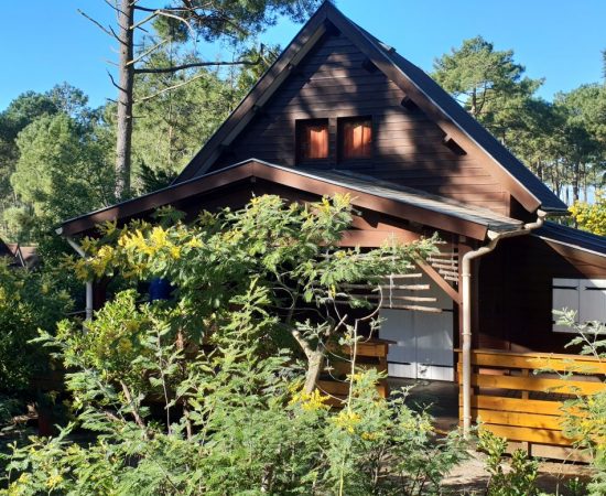 Chalet naturiste, Gironde, Nouvelle Aquitaine