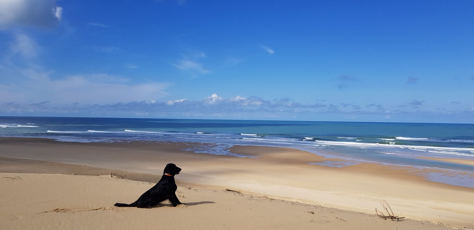 Plage de La Jenny