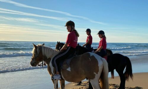 équitation plage Lacanau, Cap Ferret, Arcachon