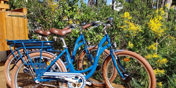 Pistes cyclables Cap Ferret