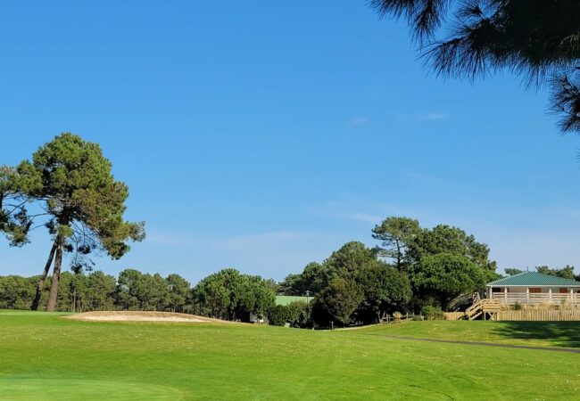 20250211_134603 20250211_134603