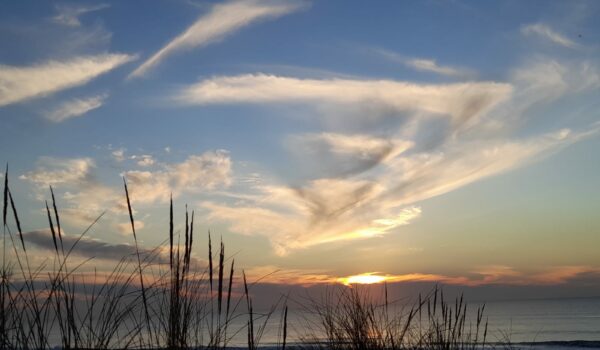 La Jenny coucher soleil (4)