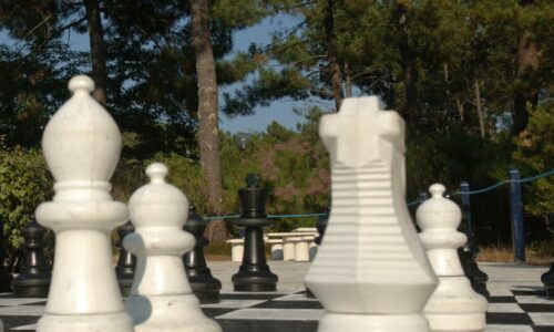 échec en 2012 pièces